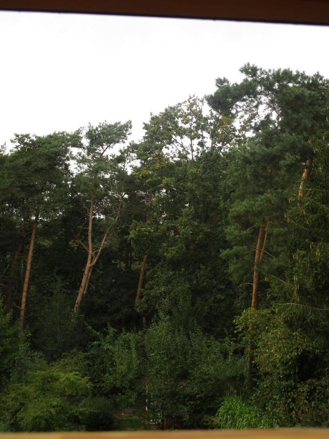 De Loteling Zoersel Экстерьер фото